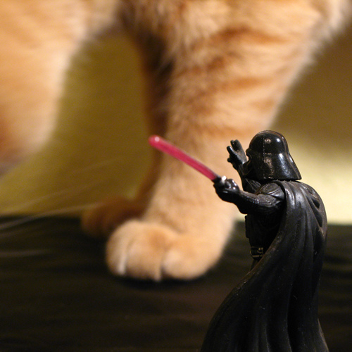 GattoStarWars.jpg