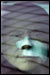 berlusconi_autunnopatriarca.jpg