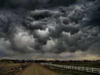 Asperatus_cloud_11.jpg