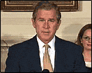 bush-01.gif