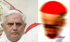 cardinale.jpg