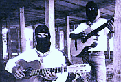 ezln_guitar.gif