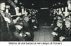 gonarscampo2.jpg