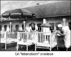 lebensborn2.jpg