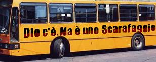 sacrafaggio-bus.jpg