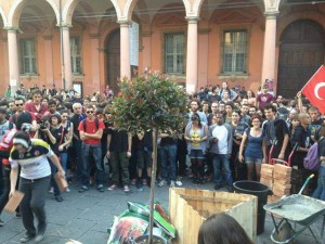 Photinia l'albero della libertà