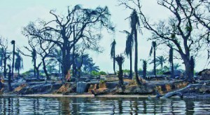 Ogoniland.