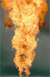 A bird flies near the roaring column of flame.