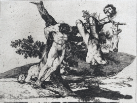 Goya3